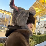 占い師 大夢さん